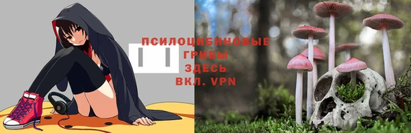 мдпв Баксан
