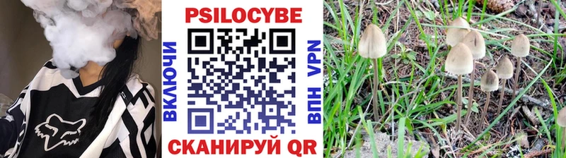 Галлюциногенные грибы Psilocybe  где купить   Нижнеудинск 